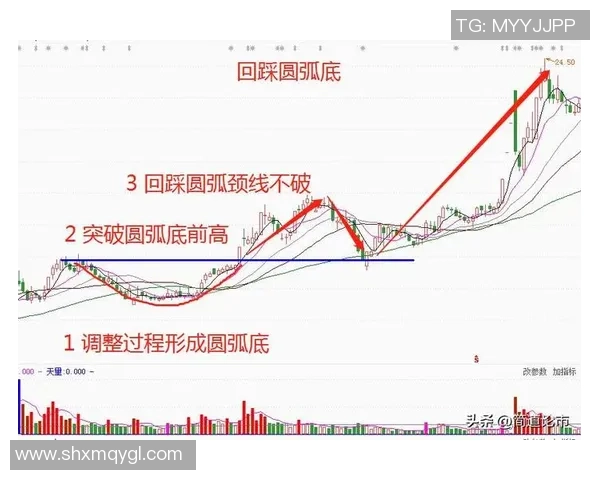 广州篮球队与杭州篮球队赛后技术分析与战术复盘探讨
